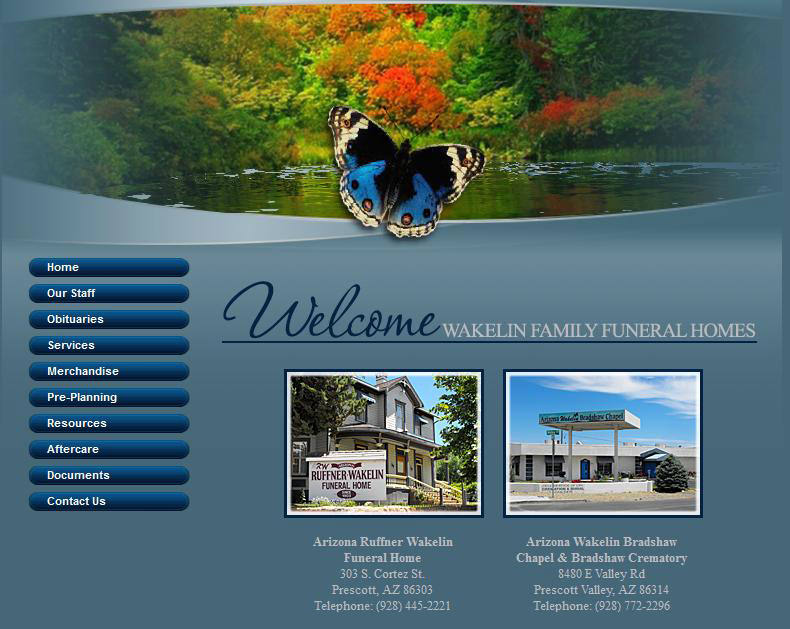 Wakelin Website Image