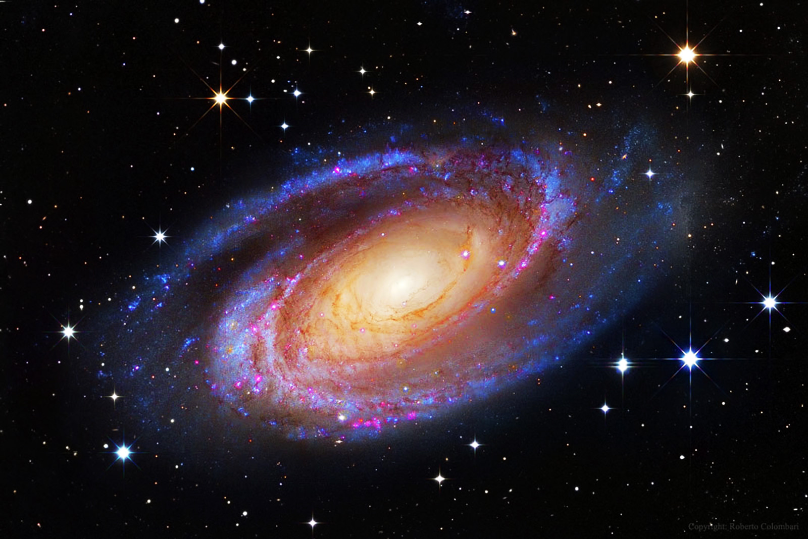 M81 Galaxy